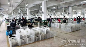 溫州鞋廠引進先進設備，產品開發與效率實現立竿見影提升