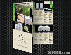 螢火蟲制作公司 多媒體設(shè)計(jì)服務(wù)引領(lǐng)創(chuàng)意未來(lái)